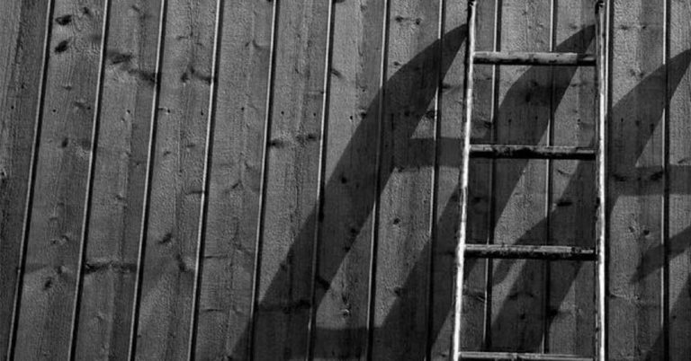 I Climbed the Ladder to Find it was Against the Wrong Wall