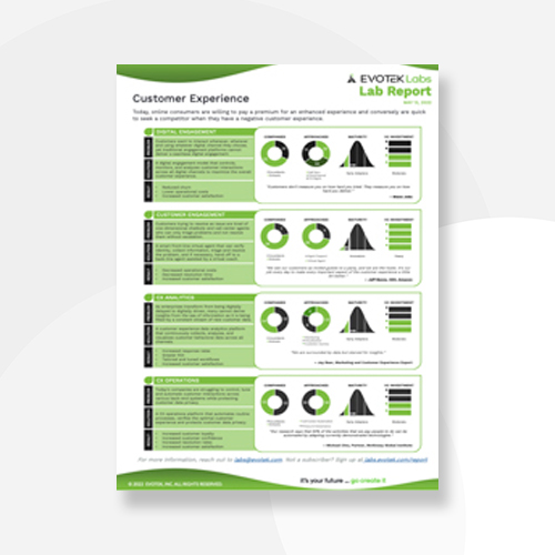 EVOTEK Resource Thumb - Customer Experience Lab Report